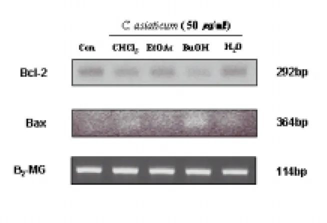 Figure  3.  RT-PCR  analysis  of  Bcl-2  and  Bax  expression  in  the  HL-60  cells  treated  with  several  solvent  fractions  from  C