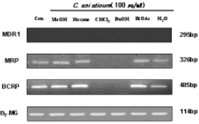 Figure    7.  RT-PCR  analysis  of  MDR-1,  MRP  and  BCRP  expression  in  the  HL-60/MX2  cells  treated  with  80  %  MeOH  extract  or  several  solvent  fractions  from  C