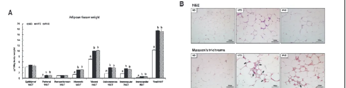 Fig.  1.  Effects  of  PVE  intake  for  12  weeks  on  adipose  tissue  weight,  adipocyte  size  of  epididymal WAT  in  C57BL/6J  mice  fed  a  high-fat  diet