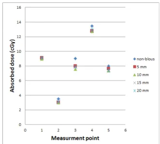 Fig.  3.  Absorbed  dose  at  measurement  point.
