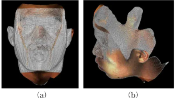 Fig. 3. The fusion result of initial registration (a) before  initial registration (b) after initial registration (c)  before initial registration (d) after initial  registra-tion.