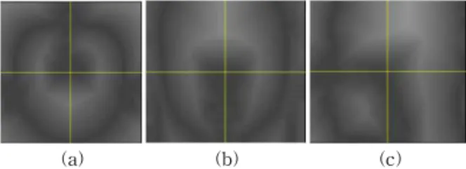 Fig. 5. Visualization of 3D chamfer distance map (a)  axial view (b) sagittal view (c) coronal view.
