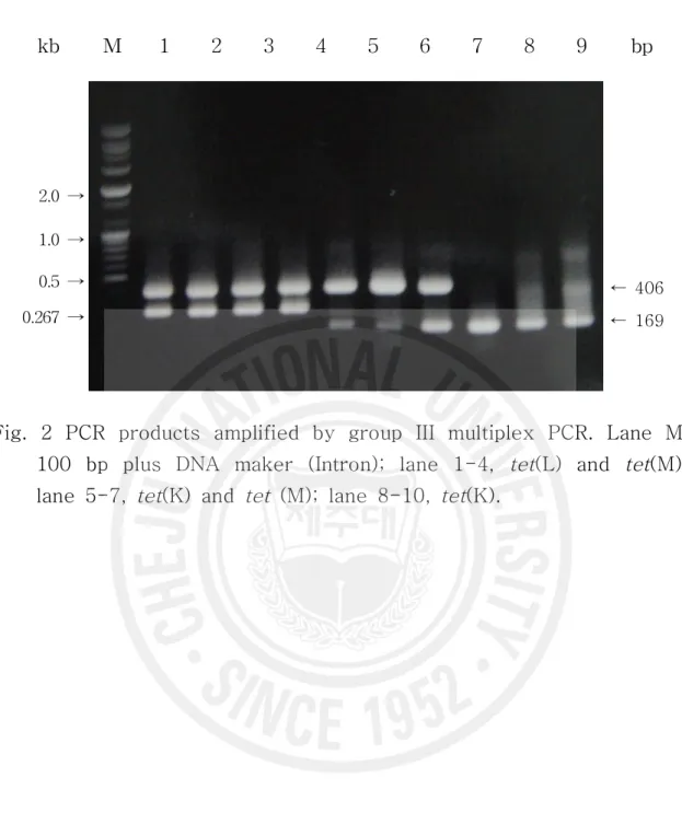 Fig.  2  PCR  products  amplified  by  group  III  multiplex  PCR.  Lane  M,  100  bp  plus  DNA  maker  (Intron);  lane  1-4,  tet(L)  and  tet(M);  lane  5-7,  tet(K)  and  tet  (M);  lane  8-10,  tet(K).