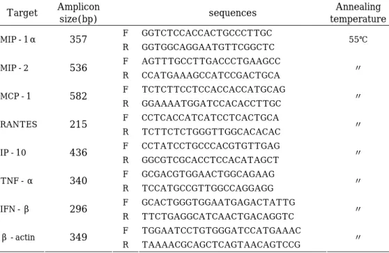 Table 2. The sequence of primers for eukaryotic RNA and the expected size of the  RT-PCR products