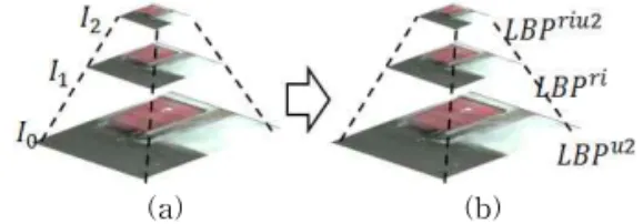 Fig. 5. Image and LBPV pyramids. (a) image pyramid  and (b) LBPV pyramid.