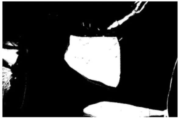 Fig. 11. Image after removing false candidate areas. (a) Binary image by equation (3) and (b) input image containing  candidate areas.