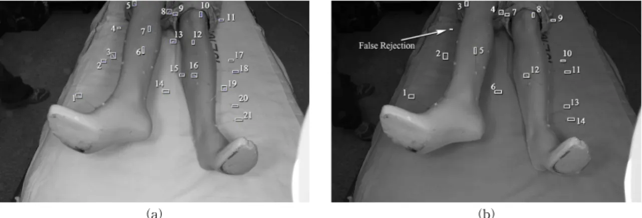 Fig. 16. Samples of needle verification: (a) Without FA or FR  and (b) with 1 FR.