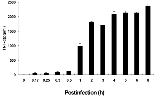 Figure  2.  Time  course  of  TNF-α  protein  production.  Secreted  TNF-α  protein  in  macrophage  J774A.1  cells  infected  with  O