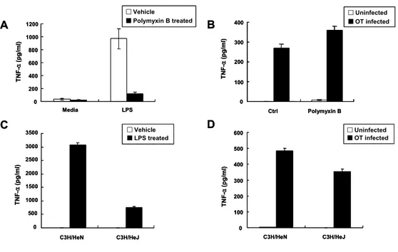 Figure  3.  Effect  of  polymyxin  B  or  TLR4  mutation  on  O.  tsutsugamushi-  stimulated  TNF-α  production  in  macrophage