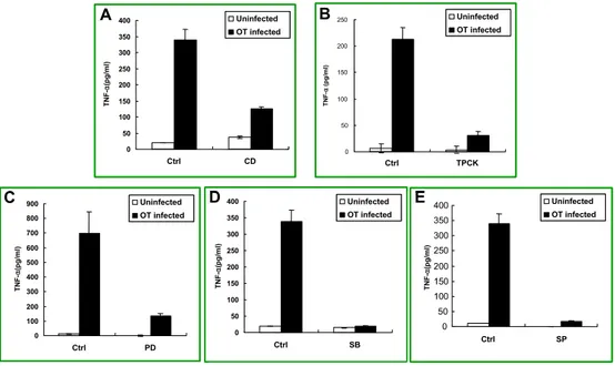 Figure  5.  Effect  of  various  inhibitors  on  O.  tsutsugamushi-stimulated  TNF- TNF-α  production  in  J774A.1