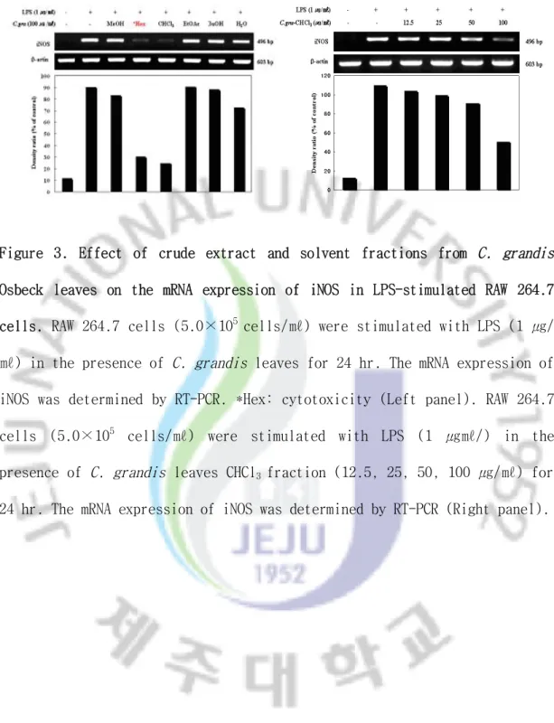 Figure  3.  Effect  of  crude  extract  and  solvent  fractions  from  C.  grandis