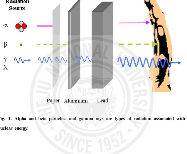 Fig.  1.  Alpha  and  beta  particles,  and  gamma  rays  are  types  of  radiation  associated  with  nuclear  energy.