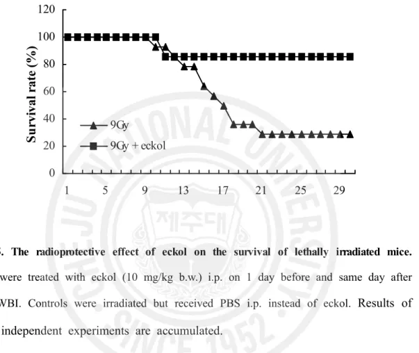 Fig.  5.  The  radioprotective  effect  of  eckol  on  the  survival  of  lethally  irradiated  mice