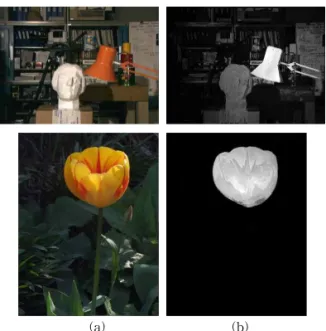 Fig. 7. Result of proposed method. (a) Original left image,  (b) Combined saliency map.