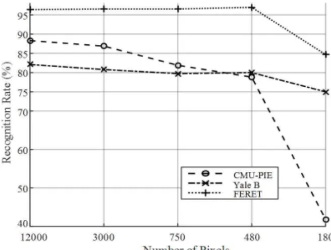 Fig. 2. Face recognition rates for various face image  resolutions.