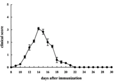 Figure  1.  Clinical  course  of  experimental  autoimmune  neuritis  (EAN)  in  Lewis  rats