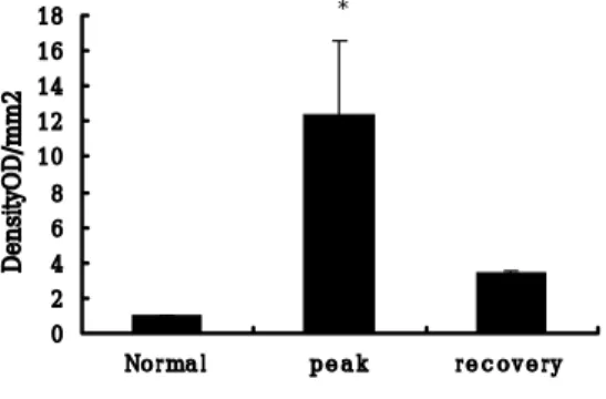 Fig.  4.  B,  Quantitation  of  sciatic  nerve  iNOS  expression  over  the  course  of  EAN