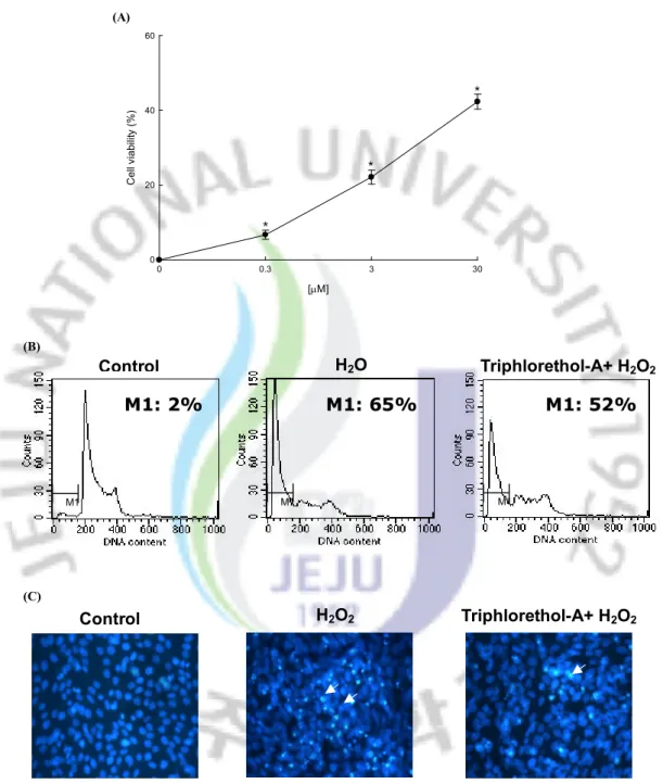 Fig. 4. Protective effect of triphlorethol-A on H 2 O 2  induced oxidative damage of V79-4 