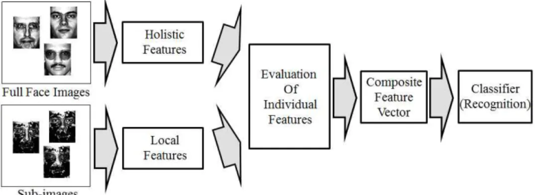Table  1.  Characteristics  of  each  database Database