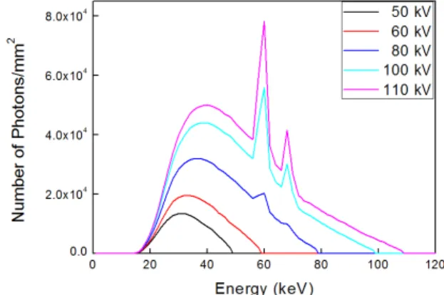 Fig.  1.  Initial  X-ray  spectra  for  tube  voltages  of  50,  60,  80,  100,  and  110  kV,  respectively
