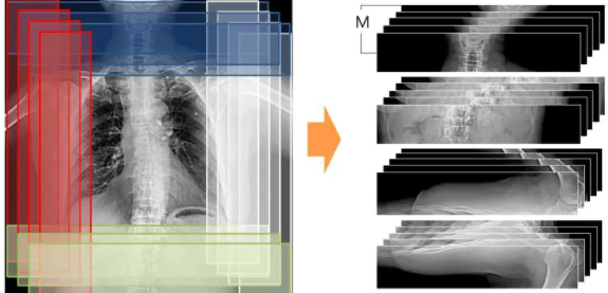 Fig.  3.  The  extraction  of  sample  data  for  principal  component  analysis  of  input  image2.