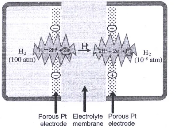 Figure 2.5. hydrogen concentration cell. A high-pressure hydrogen compartment                    and a low pressure hydrogen compartment are separated by a                    electrolyte-platinum membrane structure