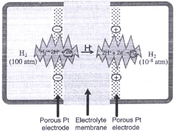 Figure 2.5. hydrogen concentration cell. A high-pressure hydrogen compartment                    and a low pressure hydrogen compartment are separated by a                    electrolyte-platinum membrane structure