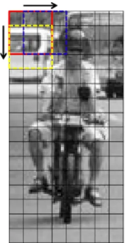 Fig. 4. Normalization processing of blocks with 3×3  cells.여기서    는 행 투영벡터 값이며 ,    는 행 투영벡터의 평균값이다.위에서 구한 행의 LBP 코드열을 이용하여 식 (7)에 의해 단일형태/비단일형태에 따라 각각 다른 무게값을 가지는 열방향 투영벡터 특징값을 계산한다.× ×    (7)