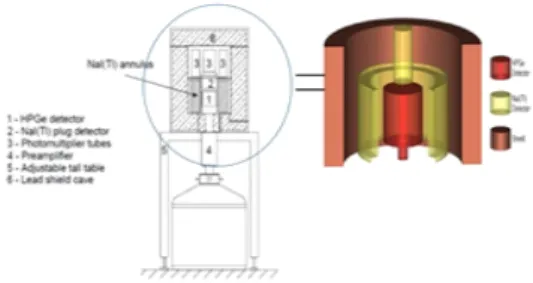 Fig.  1.  Schematic  drawing  of  compton  suppression  spectrometer.