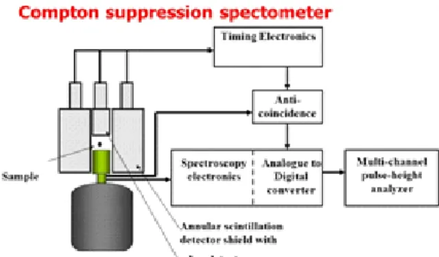 Fig.  2.  Block  diagram  of  the  Compton  Suppression  Spectrometer  with  Standard  Timing.