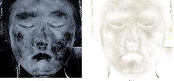 Fig. 7. Makeup maps are warped to be aligned to the target image.