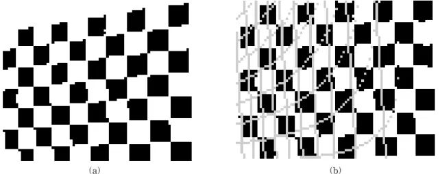 Fig. 8. Image taken on the left side of the plane. (a) Image before correction, (b) Image after proposed correction