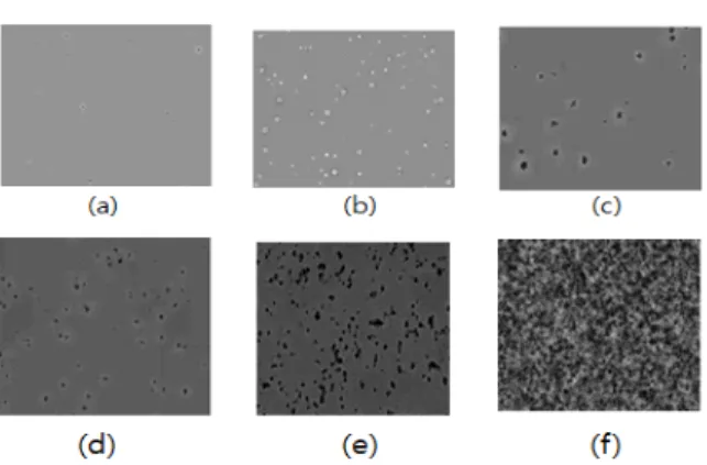 Fig.  1.  Acquisition  images  from  image  plate. 
