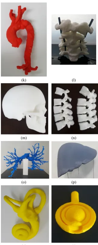 Fig.  6.  Three  dimensional  human  mimic  phantom  by  3D  printing  (a)  cardiac,  (b)  sphenoid,  (c)  ischium  and 