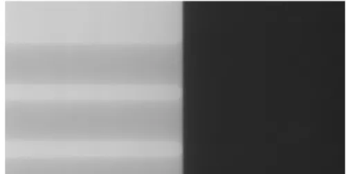 Fig.  2.  Radiography  image  with  rod  phantom  using  CMOS  detector  set  by  3Hz.