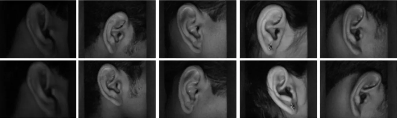 Fig. 4. Sample images of IITD ear database.