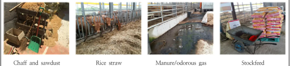 Fig.  2.  Example  of  a  cattle  breeding  environment.
