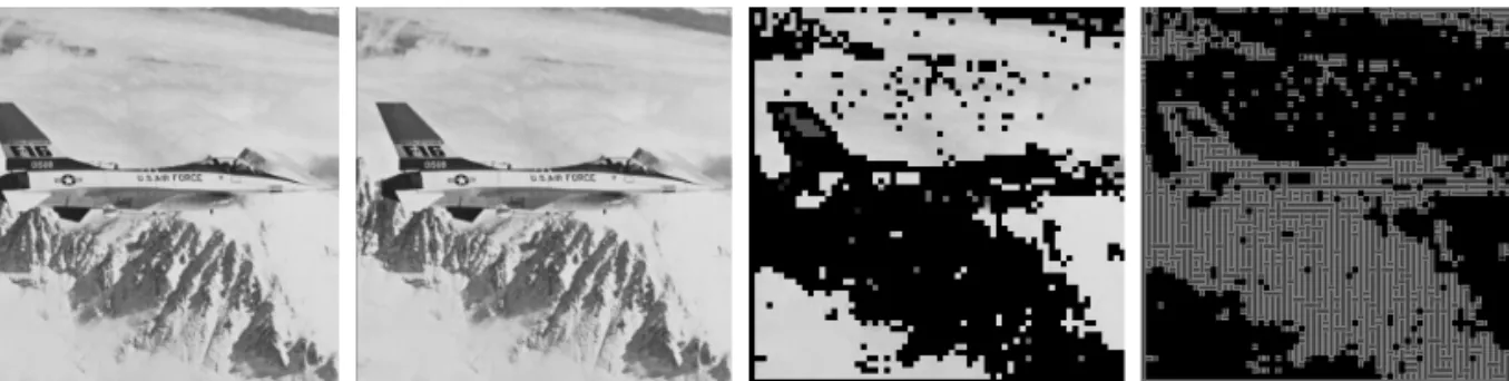 Fig. 5. Original image Airplane (top-left), watermarked image(top-right), watermark allowable block(bottom-left),   difference image between original and watermarked one(bottom-right).