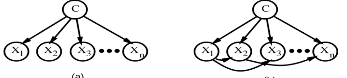 Figure 1: Bayesian networks corresponding to (a) a Naive Bayesian classier; (b) A more complex Bayesian classier allowing limited dependencies between the features.