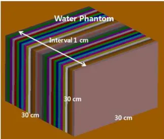 Fig.  2.  Water  phantom  produced  by  MCNPX.
