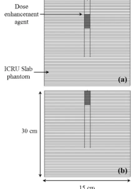 Fig.  1.  Schematic  diagrams  of  the  Monte  Carlo  simulation  for  dose  enhancement