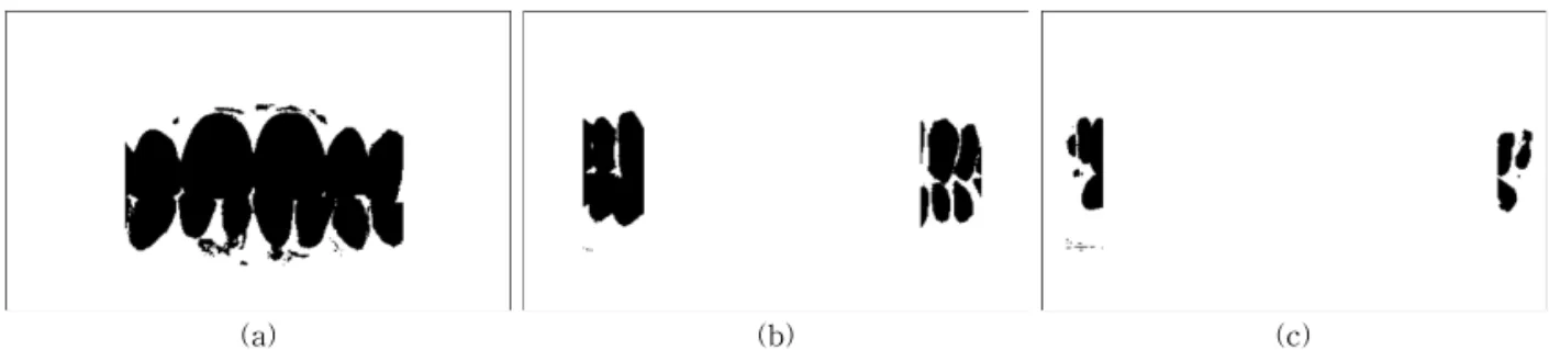 Fig. 6. Binary image of each regions, (a) incisor region(threshold=0.2863), (b) cuspid/premolar region(threshold= 