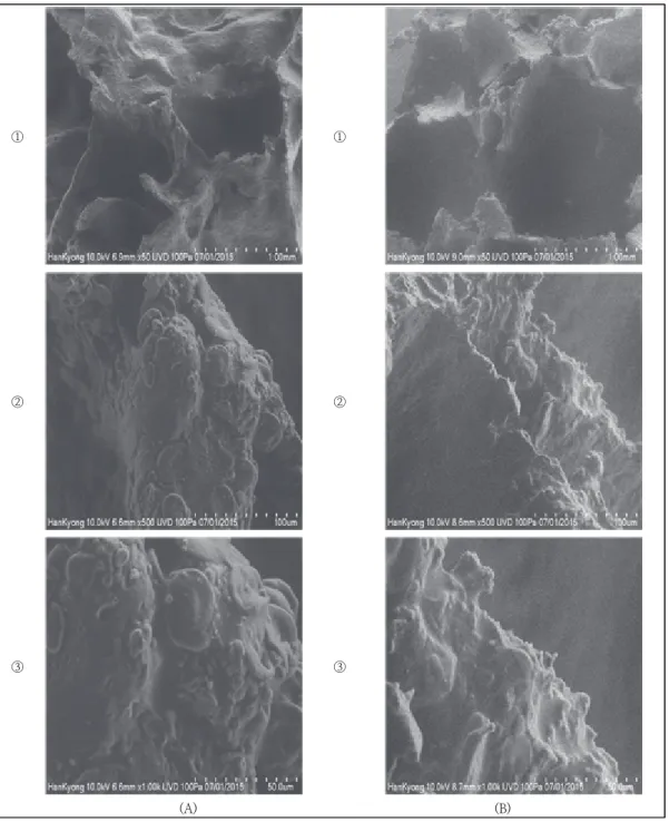 Fig.  2.  SEM  images  of  the  sweet  roll  ①  ×50  ②  ×500  ③  ×1000. 