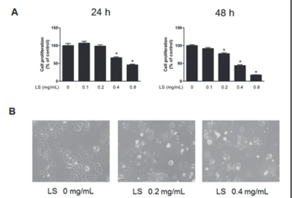 Table  2.  ABTS +   radical-scavenging  activity  of  Leonurus  sibiricus   L. 3.  익모초  에탄올  추출물이  MCF-7  세포의  성장에  미치는  영향 익모초  에탄올  추출물이  인체  유방암세포주인 MCF-7 세포의 증식에  미치는 영향을 조사하기 위하여  익모초  에탄올  추출물을  0.1,  0.2,  0.4,  0.8 mg/mL  농도별로  처리한  후,  MTS  assay를