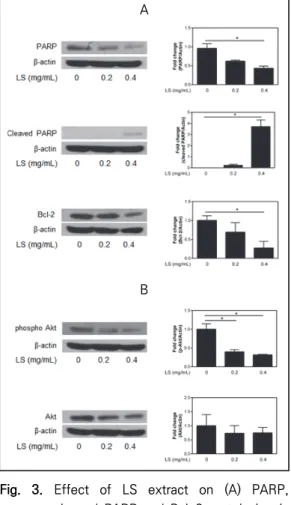 Fig.  3.  Effect  of  LS  extract  on  (A)  PARP,  cleaved  PARP  and  Bcl-2  protein  levels and  (B)  phospho  Akt  and  total  Akt protein  levels  in  MCF-7  breast  cancer  cells  for  48  h
