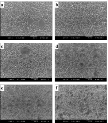 Figure 5 shows the SEM micrographs of polished/ 