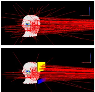 Fig. 7. Cephalometric radiography 2-dimensional dose  distribution (μGy). 2.  두경부  피폭선량  계산  시뮬레이션 두부규격방사선촬영에 의한 두경부 주요장기별 피폭 선량의  계산  값은  Table 3과 같다