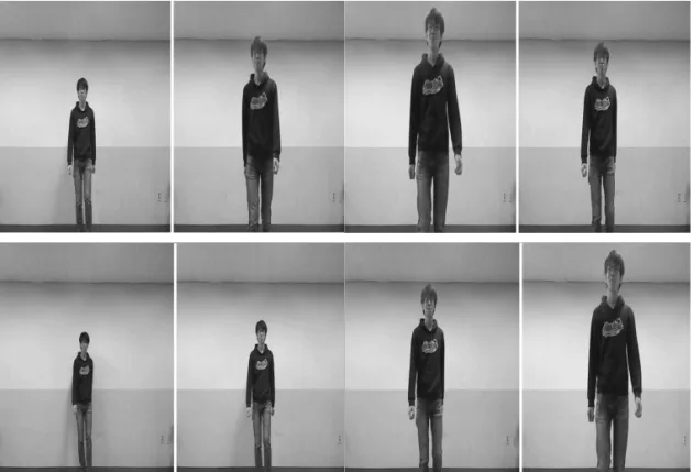 Fig. 6. Pictures used in simulation.