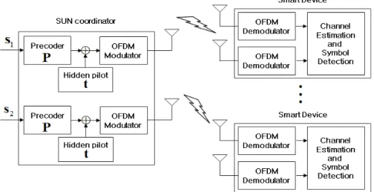 Fig. 1. The downlink smart utility network.