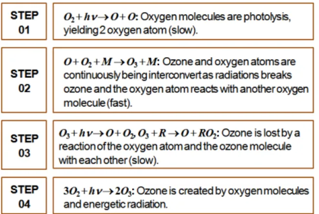 Fig. 2는 본 연구에서 사용된 고감도 오존 분석기(Oz one analyzer DIGS 130, Dong-il Greensys Co. LTD., K orea)를  보여준다